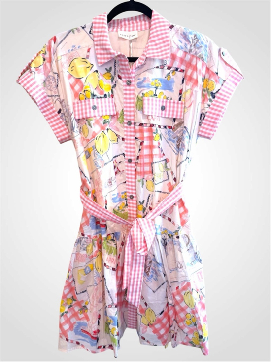 entro Dresses & Skirts - Entro Capri Lemon Mini Dress in Pink Size S